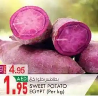 KM Trading SWEET POTATO EGYPT Per kg offer