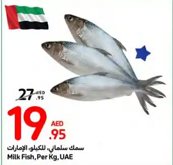 Carrefour Milk Fish, Per Kg offer