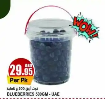 Almaya supermarket BLUEBERRIES 500GM offer