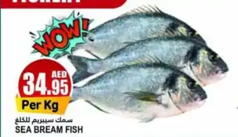 Almaya supermarket SEA BREAM FISH offer