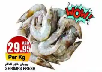 Almaya supermarket SHRIMPS FRESH offer
