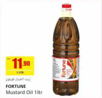 Safeer Market FORTUNE Mustard Oil 1ltr offer