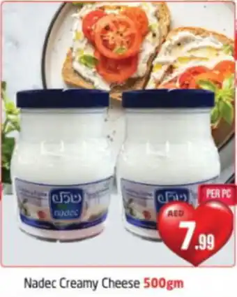 Delta Centre Nadec Creamy Cheese 500gm offer