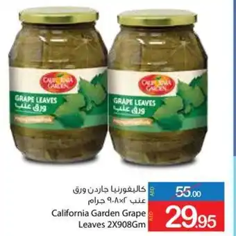 Ajman Market California Garden Grape Leaves 2 x 908Gm offer