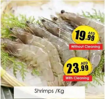 Amber Shrimps Kg offer