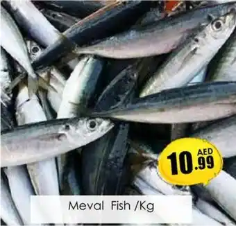Amber Meval Fish Kg offer