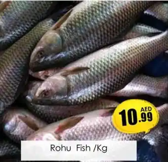 Amber Rohu Fish Kg offer