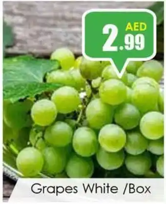 Amber Grapes White Box offer
