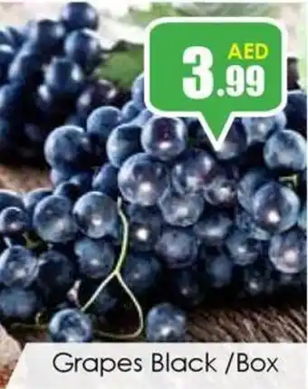 Grapes Black Box
