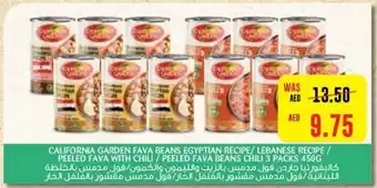 Al Ain Co-op CALIFORNIA GARDEN FAVA BEANS EGYPTIAN RECIPE/ LEBANESE RECIPE / PEELED FAVA WITH CHILI / PEELED FAVA BEANS CHILI 3 PACKS 450G offer