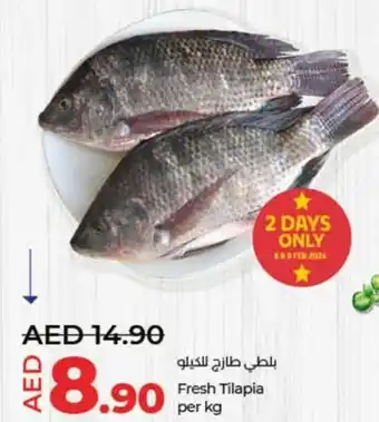 Lulu Hypermarket Fresh Tilapia per kg offer