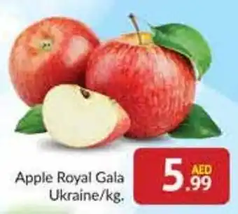 Bluemart Apple Royal Gala /kg offer