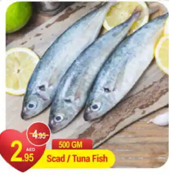 New W Mart Scad Tuna Fish 500 gm offer