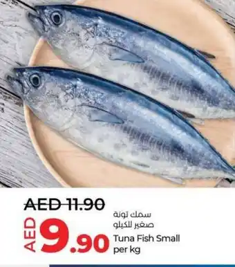 Lulu Hypermarket Tuna Fish Small per kg offer