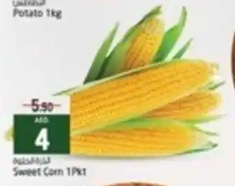 Safari Hypermarket Sweet Corn 1pkt offer