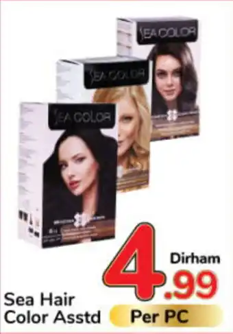 Day To Day Sea Hair Color Asstd offer