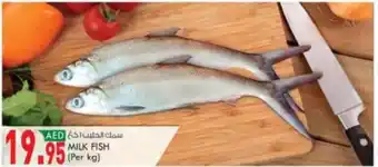 KM Trading MILK FISH (Per kg) offer