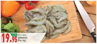 KM Trading SHRIMPS (Per kg) offer