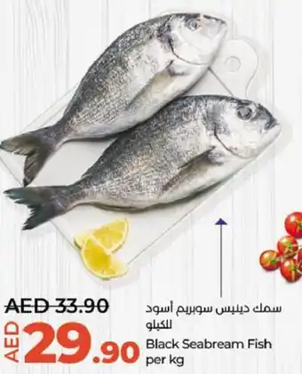 Lulu Hypermarket Black Seabream Fish per kg offer