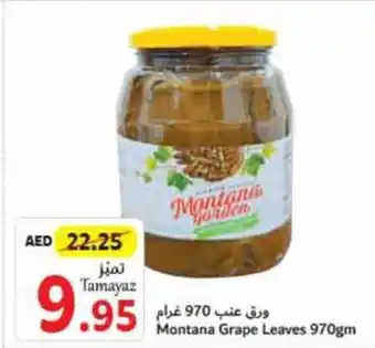 Union Coop Montana Grape Leaves 970gm offer
