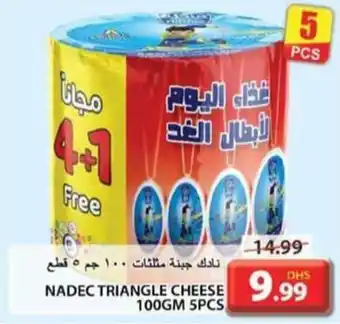 Grand Hyper Market NADEC TRIANGLE CHEESE 100gm 5pcs offer