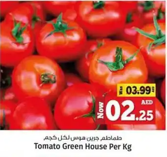 Kenz Hypermarket Tomato Green House Per Kg offer