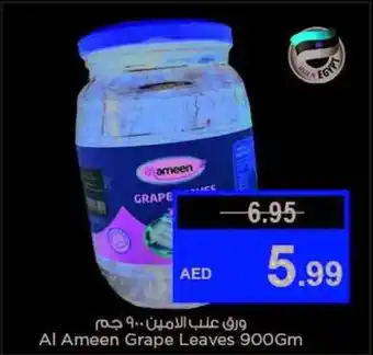 Last Chance Al Ameen Grape Leaves 900Gm offer