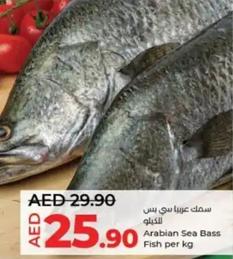 Lulu Hypermarket Arabian Sea Bass Fish per kg offer