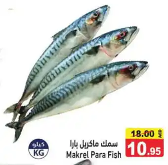 Aswaq Ramez Makrel Para Fish offer