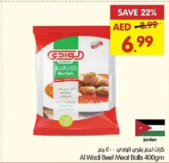 Gala Supermarket Al Wadi Beef Meat Balls 400gm offer