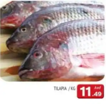 Al Madina TILAPIA offer