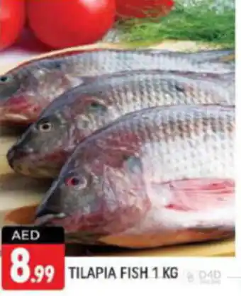 Shaklan TILAPIA FISH 1 KG offer