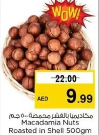 Nesto Macadamia Nuts Roasted in Shell 500gm offer