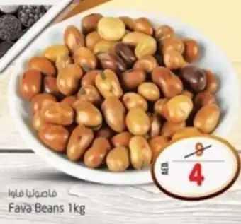 Safari Hypermarket Fava Beans 1kg offer