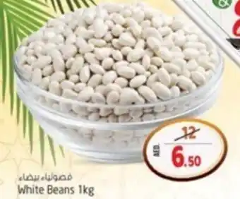 Safari Hypermarket White Beans 1kg offer
