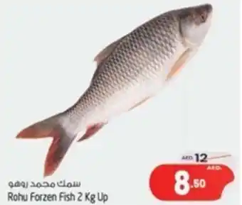 Safari Hypermarket Rohu Forzen Fish 2 Kg Up offer