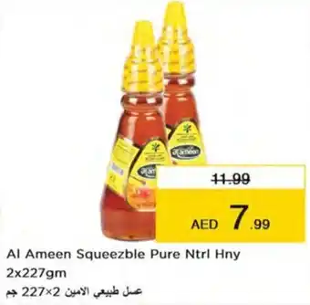 Nesto Al Ameen Squeezble Pure Ntrl Hny 2x227gm offer