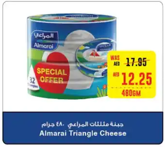 Abu Dhabi Coop Almarai Triangle Cheese 480gm offer