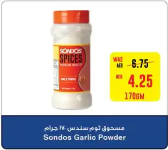 Abu Dhabi Coop Sondos Garlic Powder 170gm offer