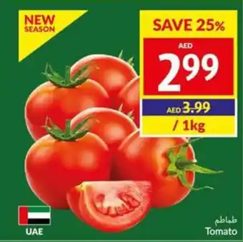 Viva Tomato /1kg offer