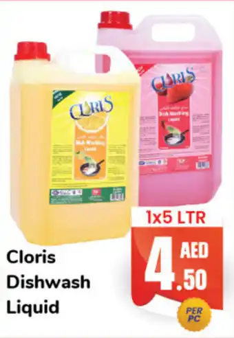 Day To Day Cloris Dishwash Liquid 1 x 5ltr offer