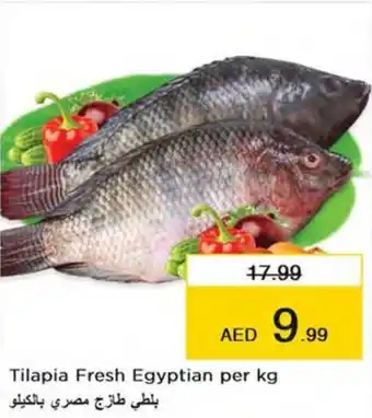 Nesto Tilapia Fresh Egyptian per kg offer