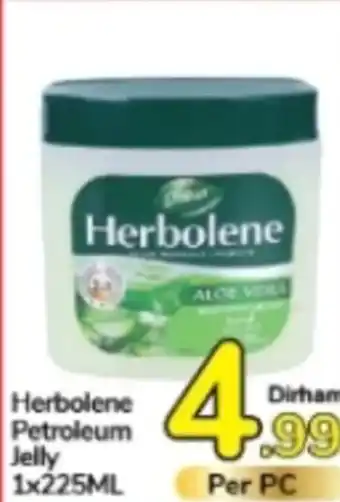 Day To Day Herbolene Petroleum Jelly 1x225ML offer