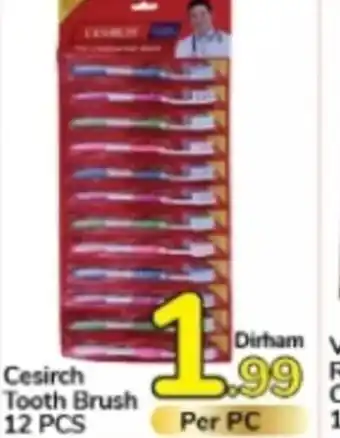 Day To Day Cesirch Tooth Brush Per Pack 12 PCS offer