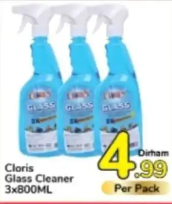 Day To Day Cloris Glass Cleaner 3x800ML offer