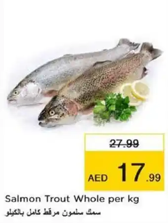 Nesto Salmon Trout Whole per kg offer