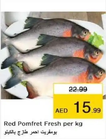 Nesto Red Pomfret Fresh per kg offer