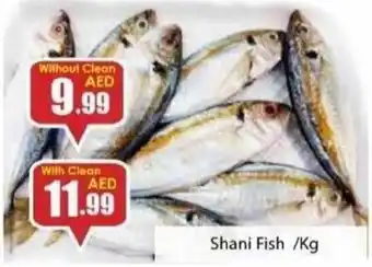 Shani Fish /Kg Without Clean
