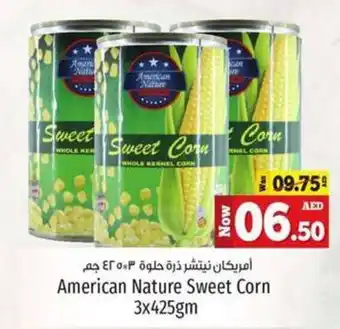 Kenz Hypermarket American Nature Sweet Corn 3x425gm offer