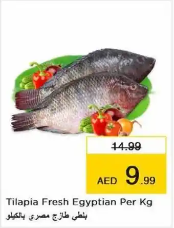 Nesto Tilapia Fresh Egyptian Per Kg offer